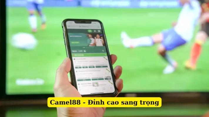 Camel88 - Đỉnh cao sang trọng